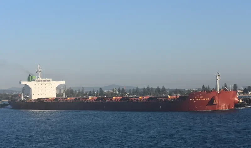 WESTERN MARINE Bulk Carrier IMO 9577549