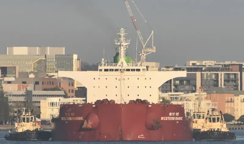 WESTERN MARINE Bulk Carrier IMO 9577549 photo 3