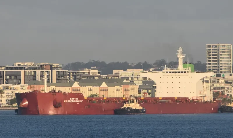 WESTERN MARINE Bulk Carrier IMO 9577549 photo 4