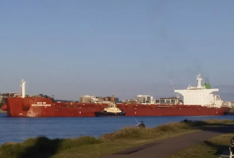WESTERN MARINE Bulk Carrier IMO 9577549 photo 5