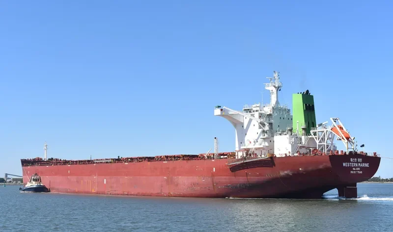WESTERN MARINE Bulk Carrier IMO 9577549 photo 7