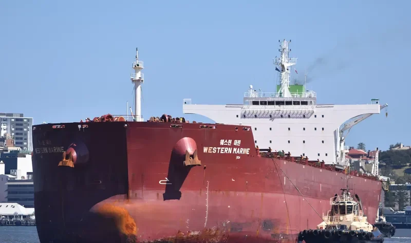 WESTERN MARINE Bulk Carrier IMO 9577549 photo 9