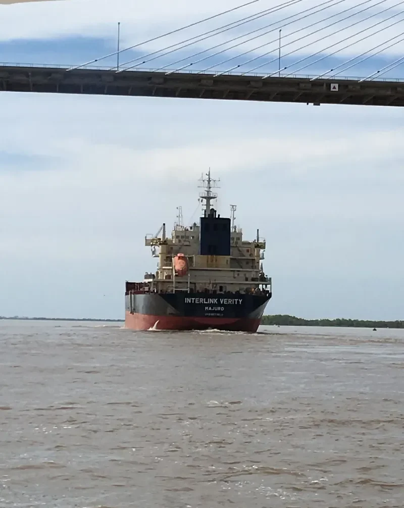 INTERLINK VERITY Bulk Carrier IMO 9577604 photo 4