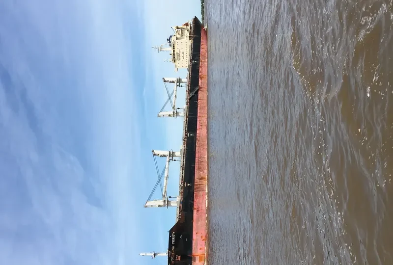 INTERLINK VERITY Bulk Carrier IMO 9577604 photo 5