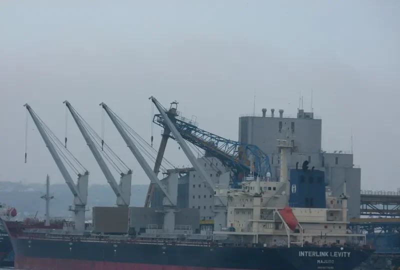 BBC JUPITER Bulk Carrier IMO 9577630 photo 3