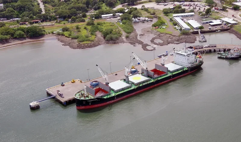 VOGE JULIE Bulk Carrier IMO 9577757