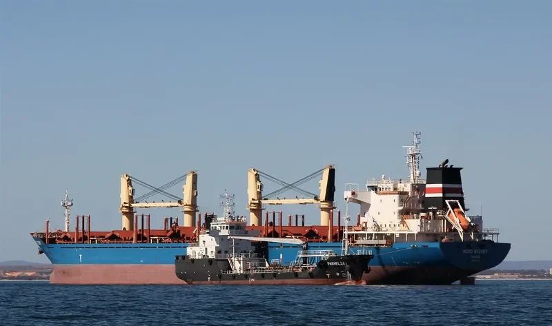 DISCOVERER Bulk Carrier IMO 9577886 photo 5