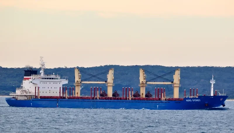 DISCOVERER Bulk Carrier IMO 9577886 photo 8