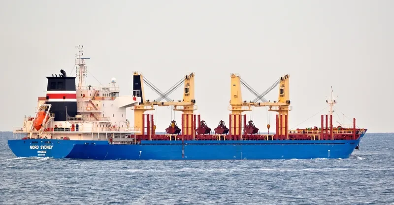 DISCOVERER Bulk Carrier IMO 9577886 photo 9