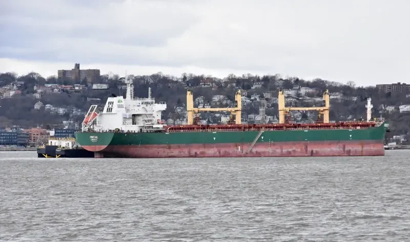 KSL QINGYANG Bulk Carrier IMO 9578050 photo 2