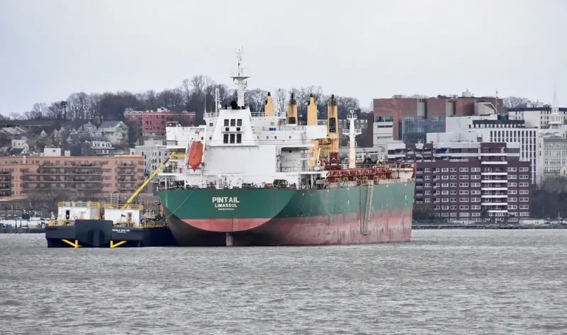 KSL QINGYANG Bulk Carrier IMO 9578050 photo 3