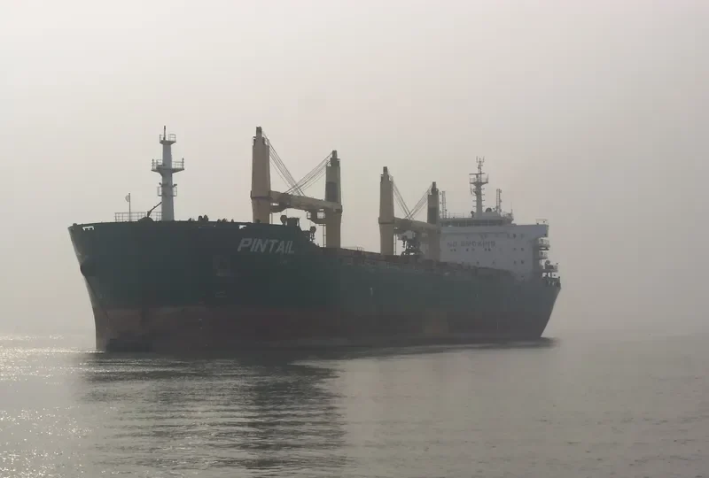 KSL QINGYANG Bulk Carrier IMO 9578050 photo 4