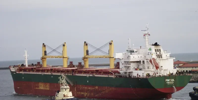 KSL QINGYANG Bulk Carrier IMO 9578050 photo 7