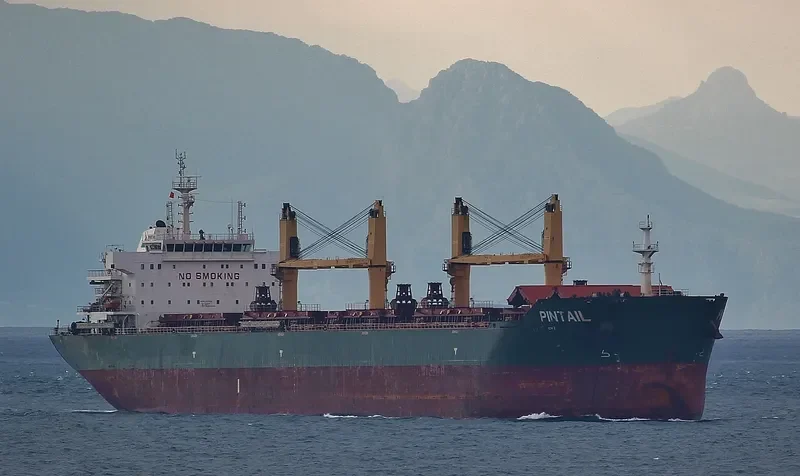KSL QINGYANG Bulk Carrier IMO 9578050 photo 9