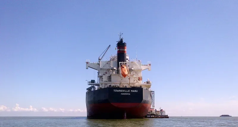 NOSHIMA Bulk Carrier IMO 9578294 photo 4
