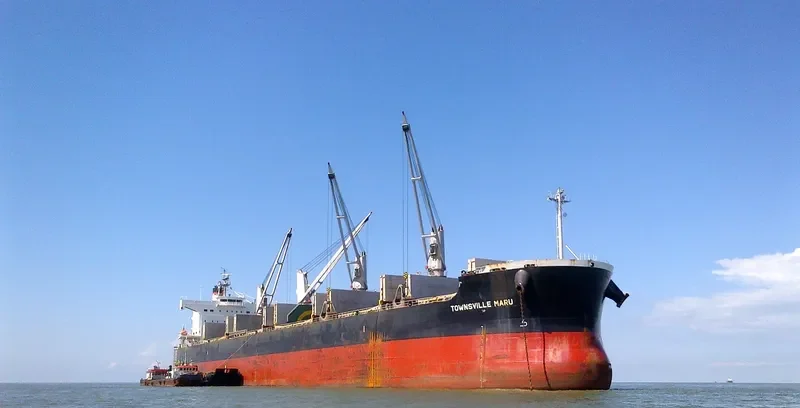NOSHIMA Bulk Carrier IMO 9578294 photo 5