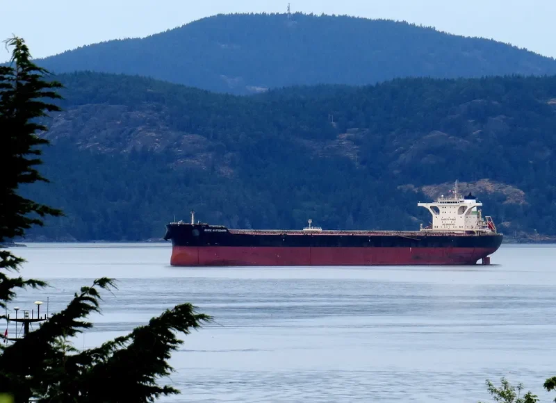 BERGE MATTERHORN Bulk Carrier IMO 9578610 photo 4