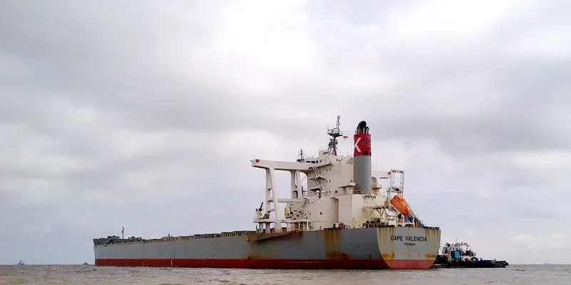 CAPE VALENCIA Bulk Carrier IMO 9578684 photo 3