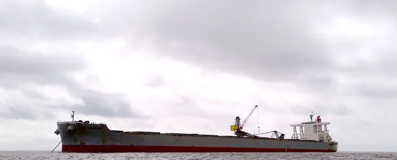 CAPE VALENCIA Bulk Carrier IMO 9578684 photo 4