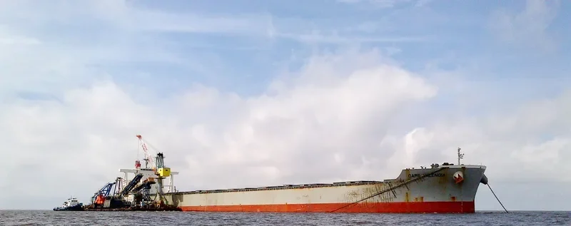 CAPE VALENCIA Bulk Carrier IMO 9578684 photo 6