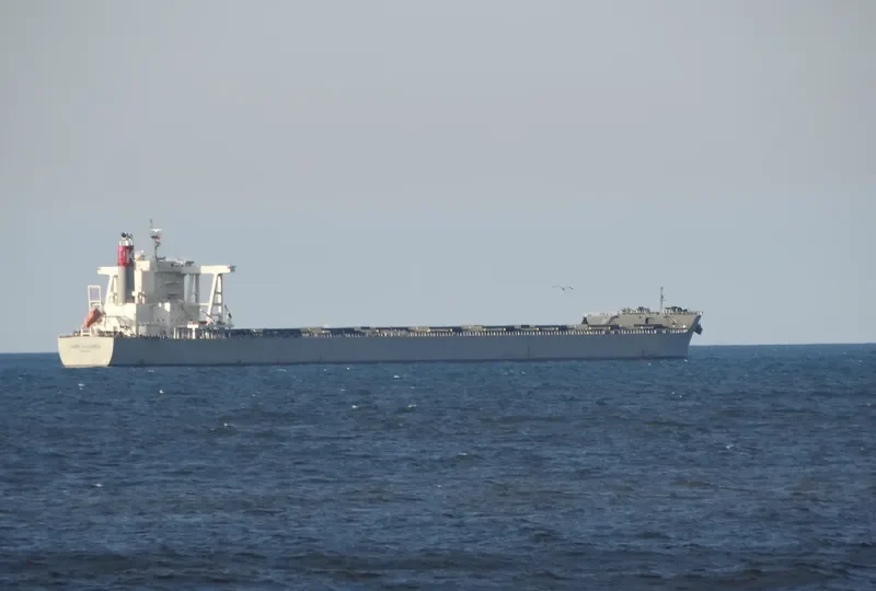 CAPE VALENCIA Bulk Carrier IMO 9578684 photo 8