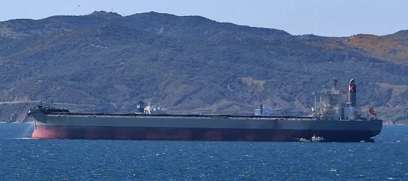 CAPE VALENCIA Bulk Carrier IMO 9578684 photo 9
