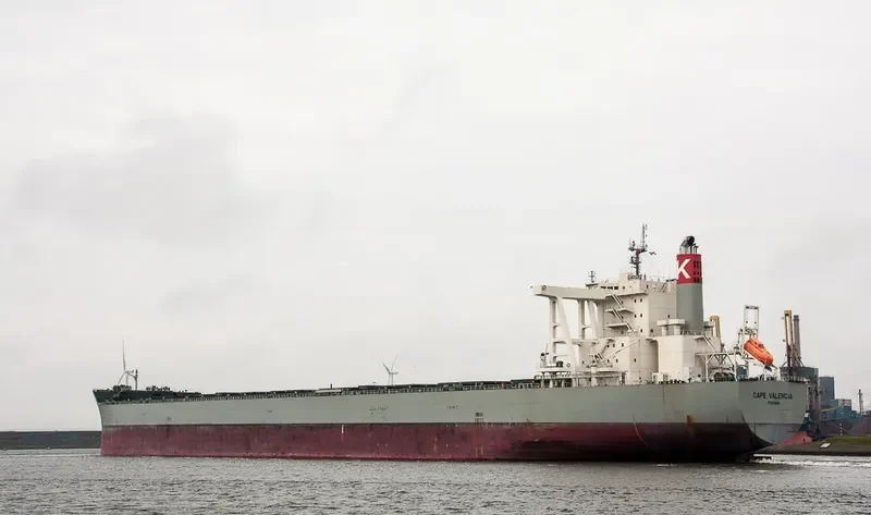 CAPE VALENCIA Bulk Carrier IMO 9578684 photo 10