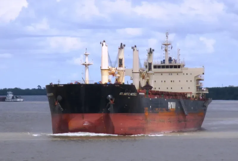 ATLANTIC MEXICO Bulk Carrier IMO 9578775 photo 2