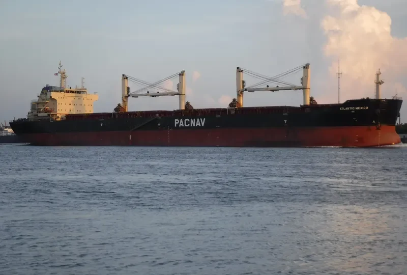 ATLANTIC MEXICO Bulk Carrier IMO 9578775 photo 4
