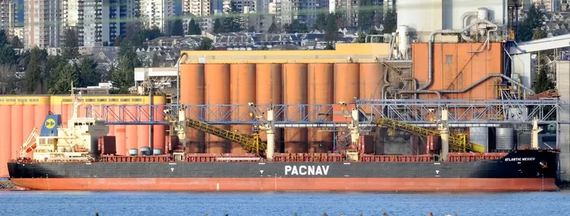 ATLANTIC MEXICO Bulk Carrier IMO 9578775 photo 5