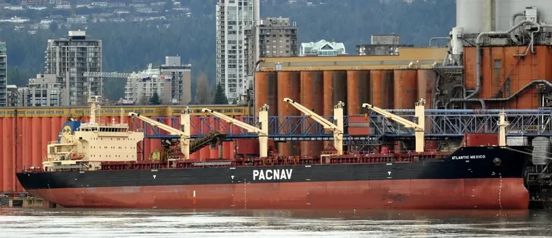 ATLANTIC MEXICO Bulk Carrier IMO 9578775 photo 6