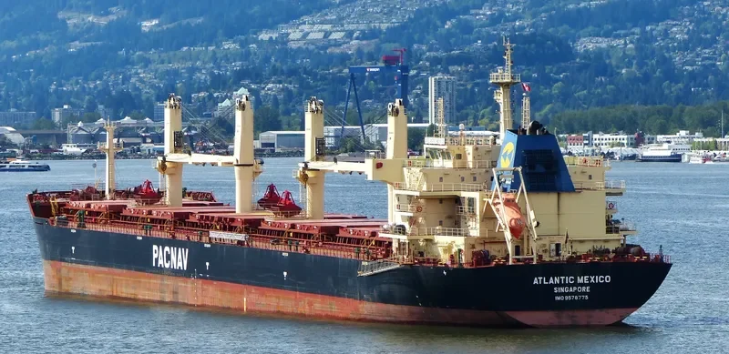 ATLANTIC MEXICO Bulk Carrier IMO 9578775 photo 7