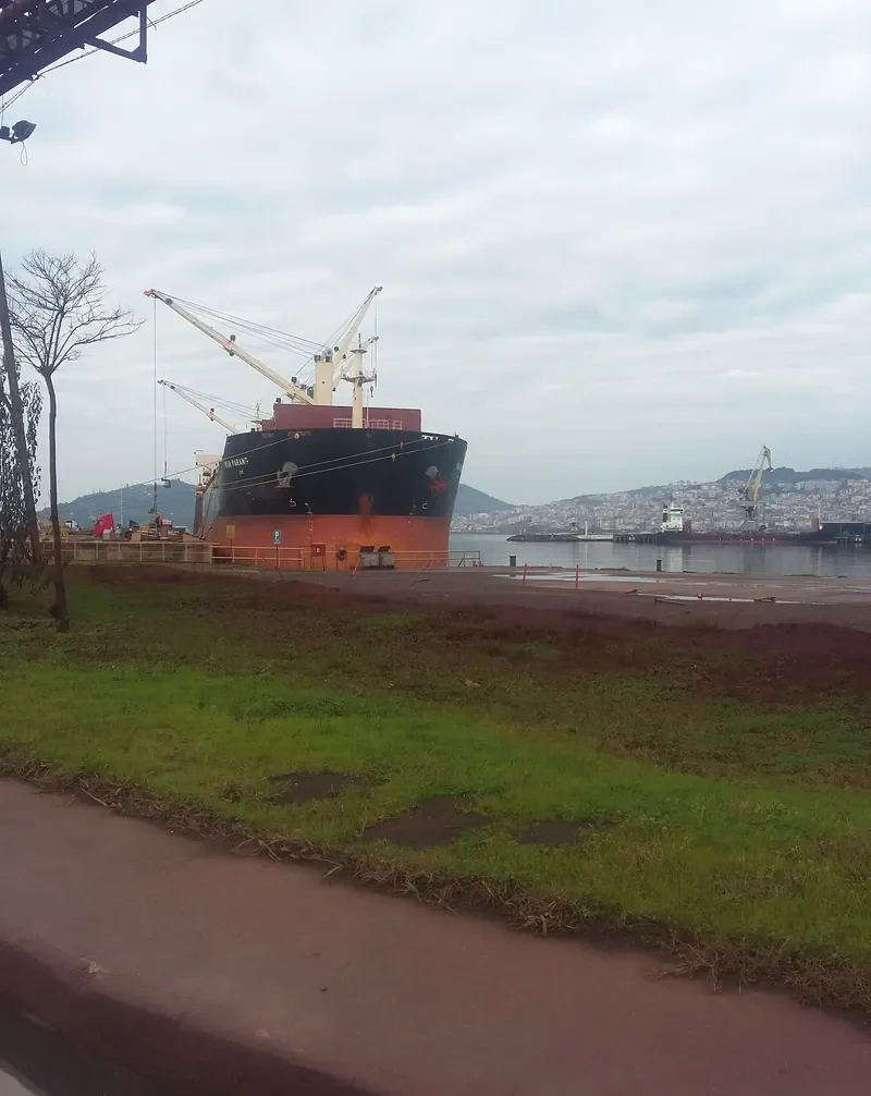 IKAN PARANG Bulk Carrier IMO 9578787