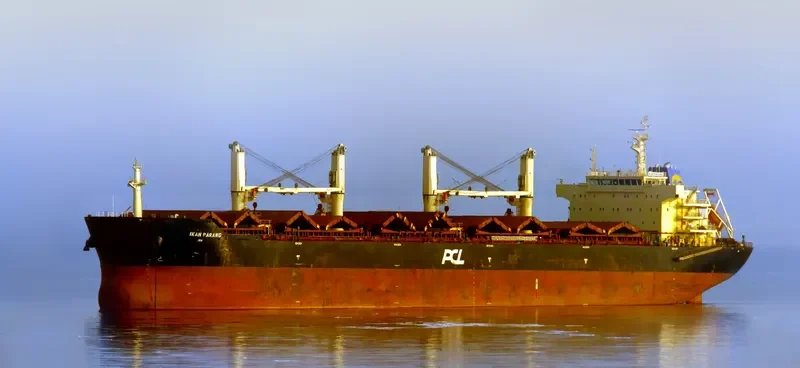IKAN PARANG Bulk Carrier IMO 9578787 photo 3