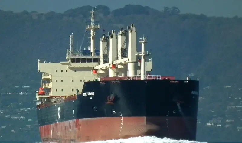 IKAN PARANG Bulk Carrier IMO 9578787 photo 5