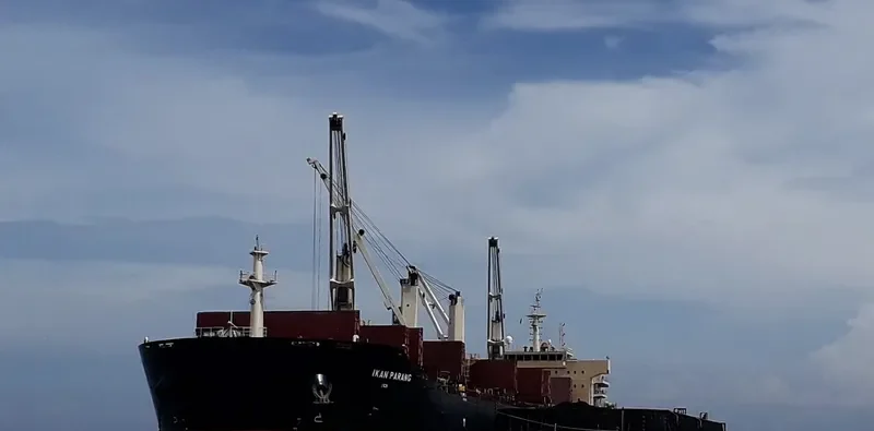 IKAN PARANG Bulk Carrier IMO 9578787 photo 6