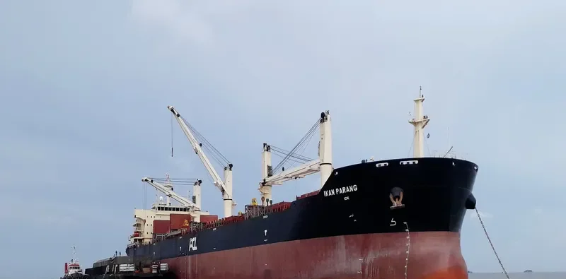 IKAN PARANG Bulk Carrier IMO 9578787 photo 7