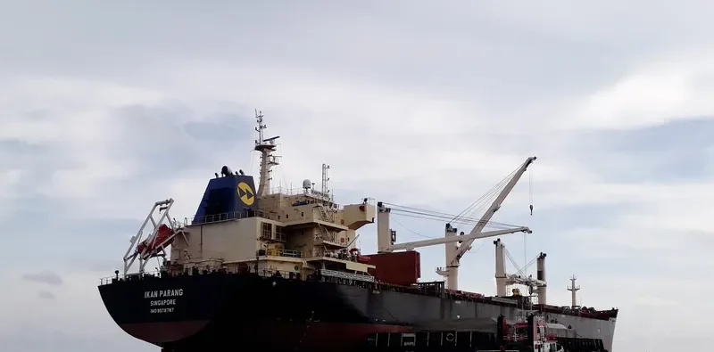 IKAN PARANG Bulk Carrier IMO 9578787 photo 8