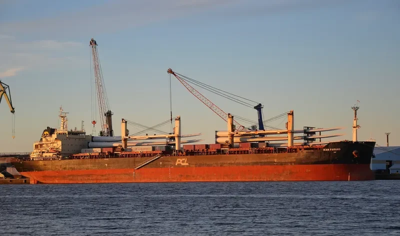 IKAN PARANG Bulk Carrier IMO 9578787 photo 9