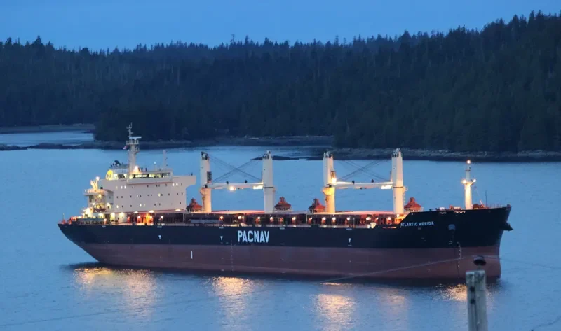 ATLANTIC MERIDA Bulk Carrier IMO 9578799 photo 7