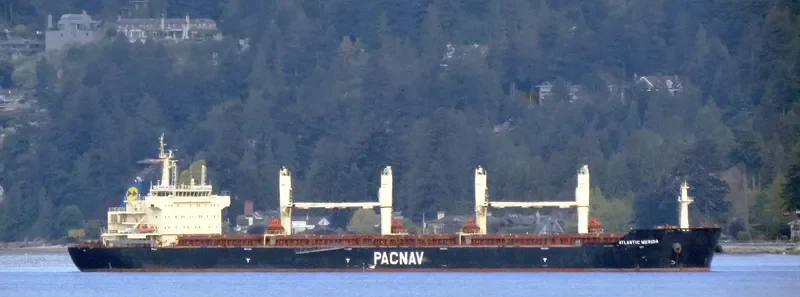 ATLANTIC MERIDA Bulk Carrier IMO 9578799 photo 8