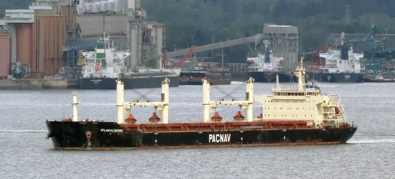 ATLANTIC MERIDA Bulk Carrier IMO 9578799 photo 9