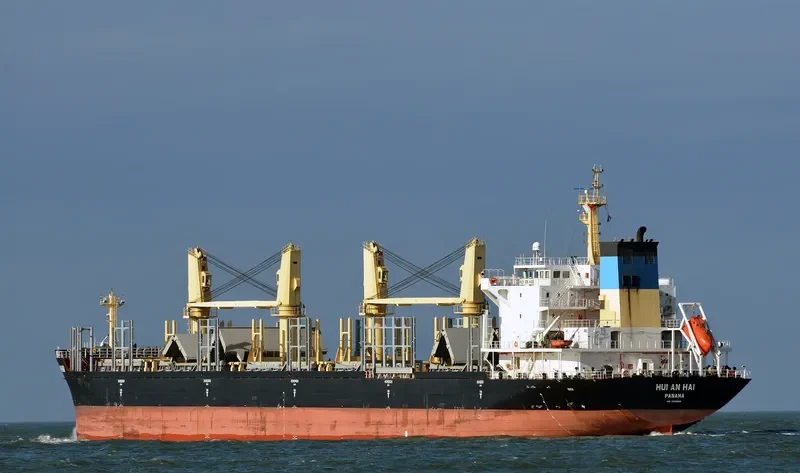 PERSENK Bulk Carrier IMO 9578995 photo 3