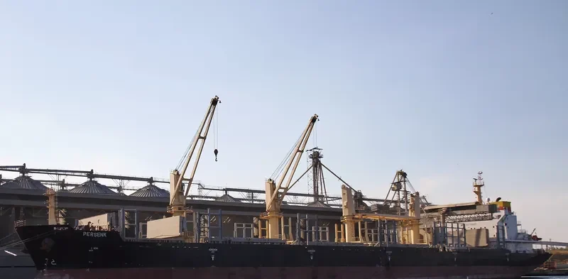 PERSENK Bulk Carrier IMO 9578995 photo 5
