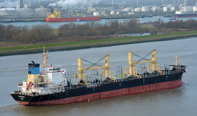 PERSENK Bulk Carrier IMO 9578995 photo 6