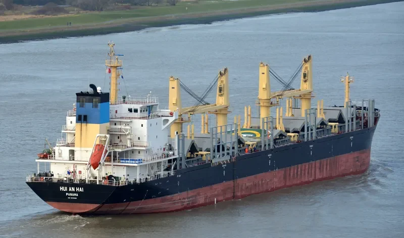 PERSENK Bulk Carrier IMO 9578995 photo 7