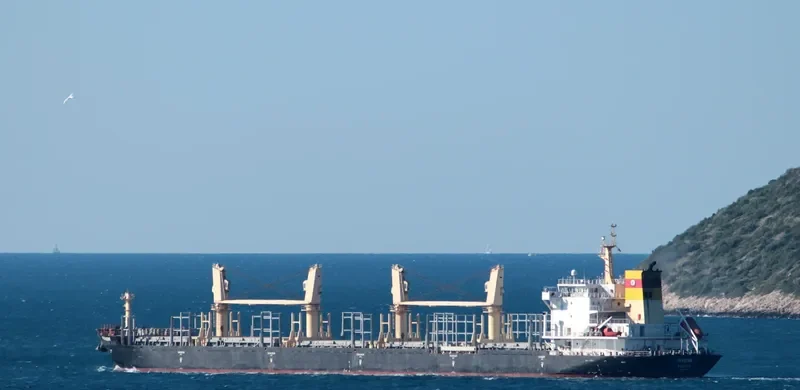 PERSENK Bulk Carrier IMO 9578995 photo 8