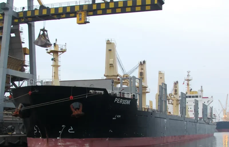 PERSENK Bulk Carrier IMO 9578995 photo 9