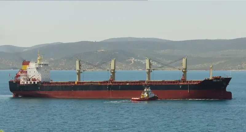 GULNAK Bulk Carrier IMO 9579028 photo 2