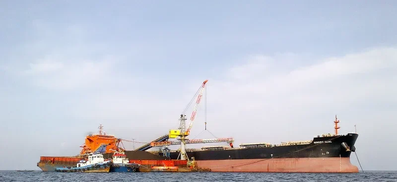 NINGBO SEAL Bulk Carrier IMO 9579066 photo 2